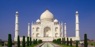 Taj Mahal's.jpg
