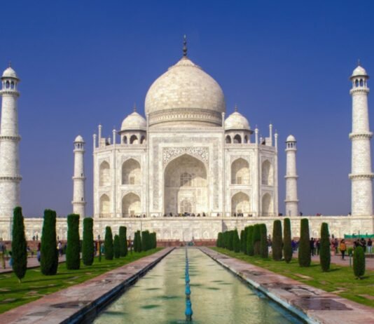 Taj Mahal's.jpg