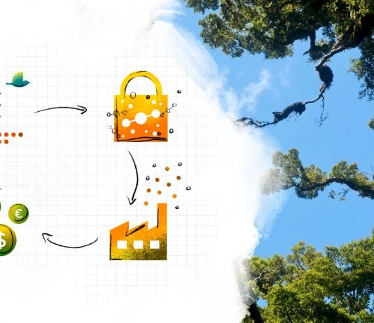 Carbon Offsetting