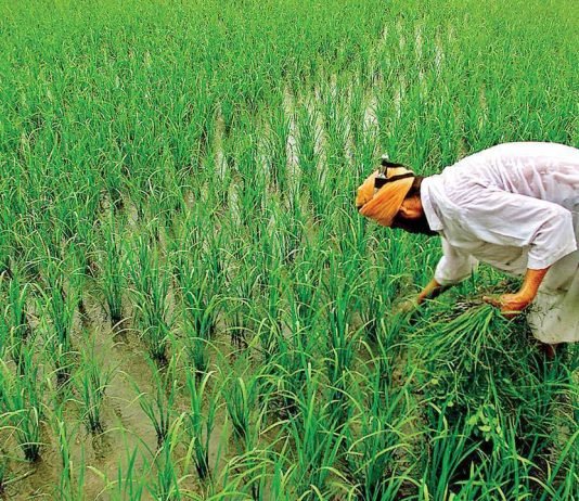 PM-Kisan scheme