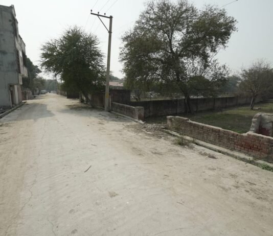 Impact Of Foreign Investment On Plot Development In Delhi