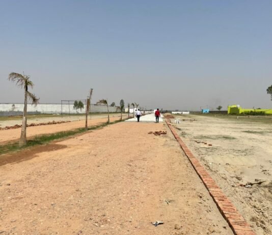 Effects of Connectivity and Transportation on Plots in Delhi's Karawal Nagar